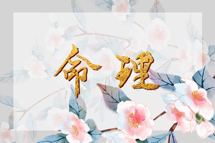 黄历2026年_择吉日老黄历_日历网老黄历